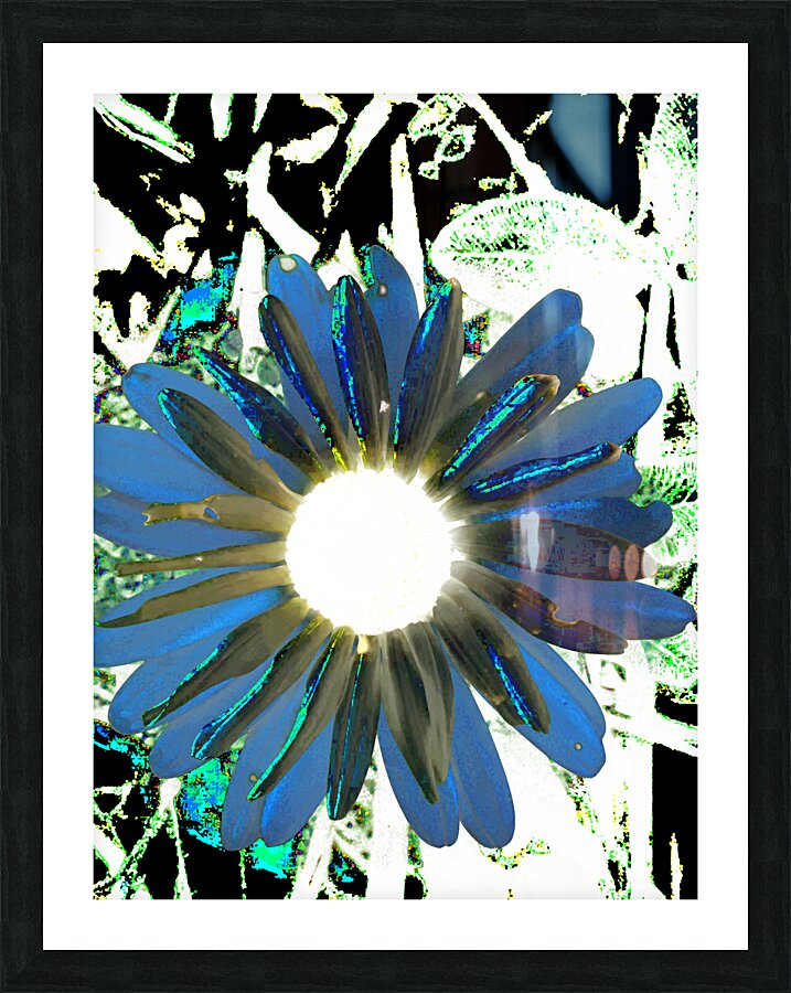 Cool Abstract Daisy Flower Picture Frame print