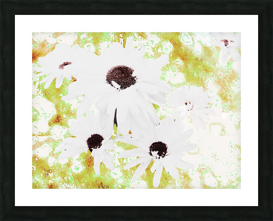  Abstract White Daises on a Green Background Picture Frame print