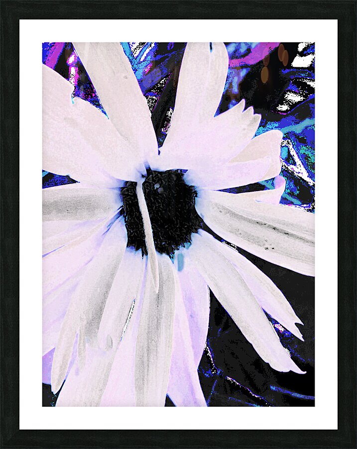 Abstract Daisy Flower in White Picture Frame print