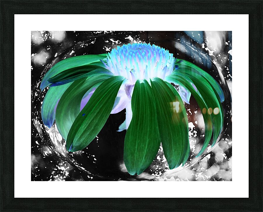  Abstract Green Cone Flower Picture Frame print
