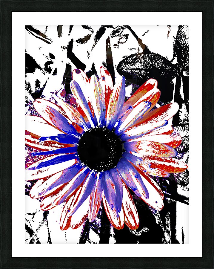 Abstract Vibrant Contrasting Daisy Flower Picture Frame print