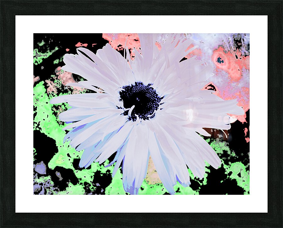 Abstract Colourful Large Daisy Picture Frame print