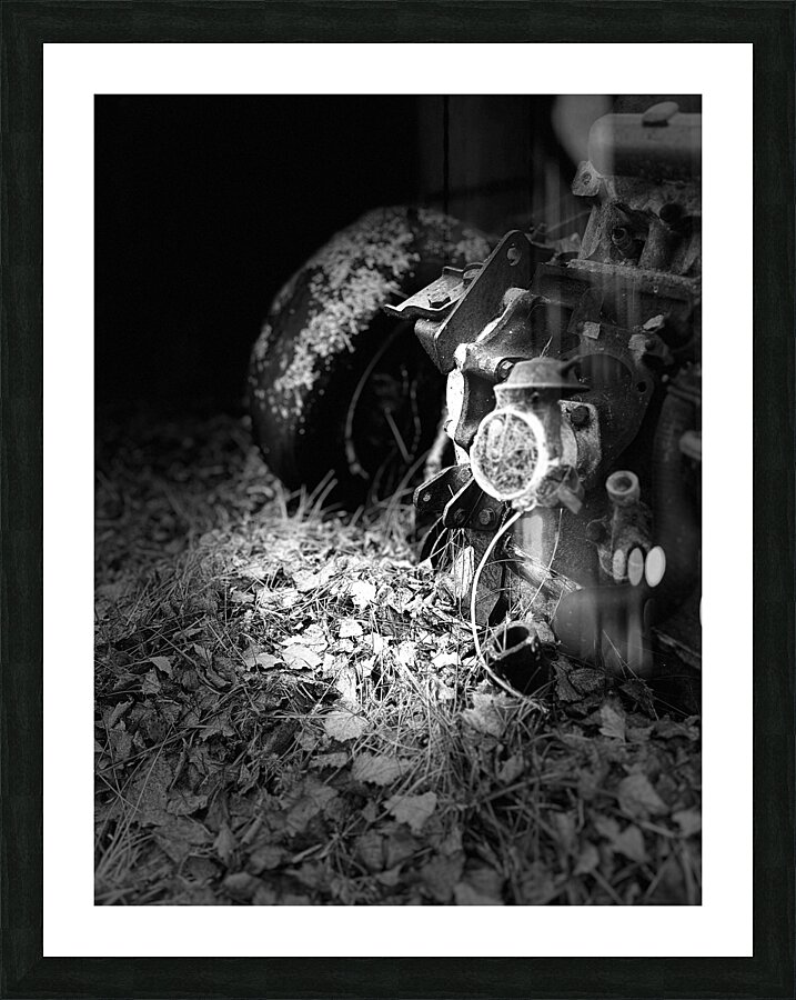 Scenes from the Trail- Disintegration Picture Frame print