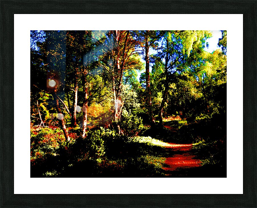 Impressionistic Abstract Landscape Too  Picture Frame print
