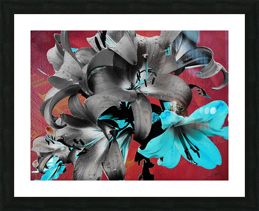 Darkly Inverted Poster Colour Lilies Picture Frame print
