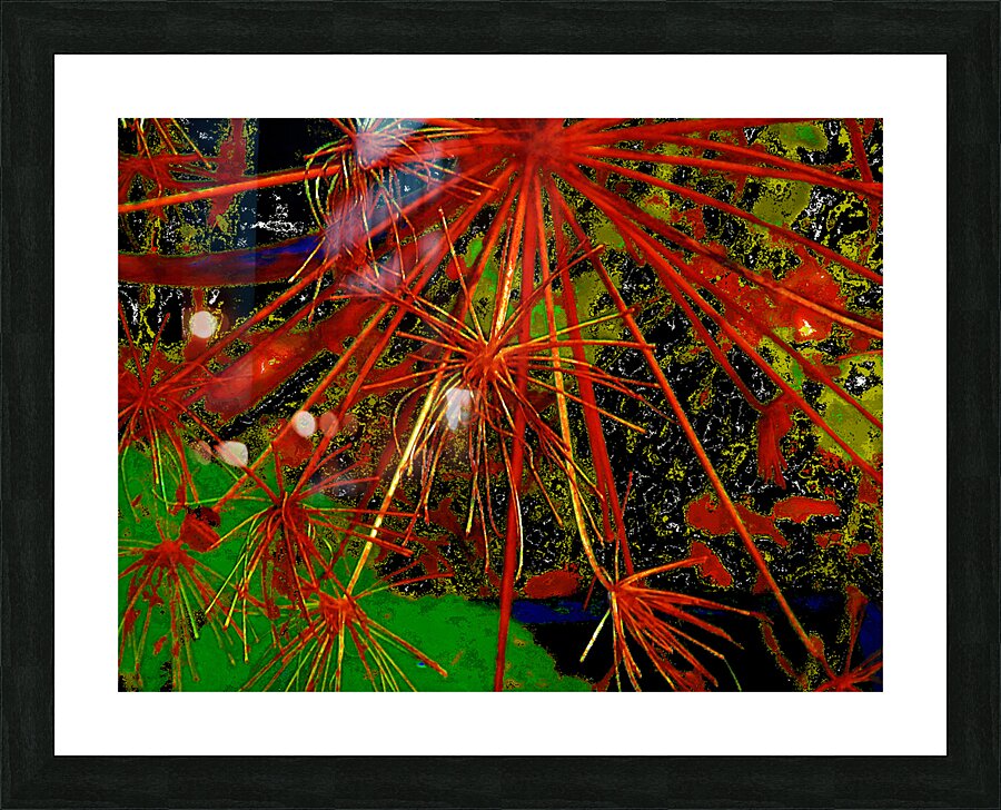 Abstract Angelica Picture Frame print
