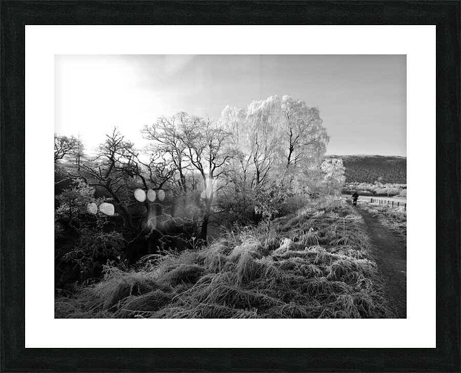 Frosty Morning in the Scottish Highlands Picture Frame print