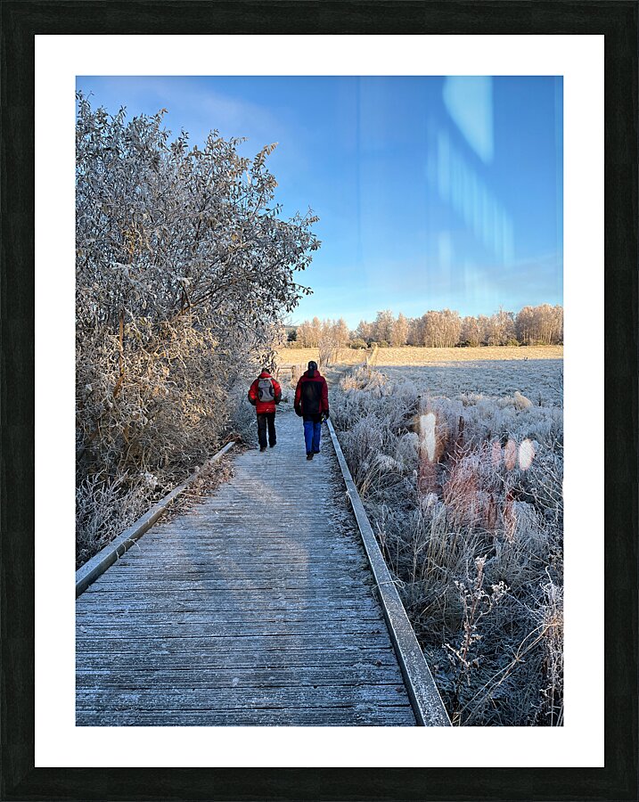 Frosty Nature Path Through the Scottish Highlands Picture Frame print