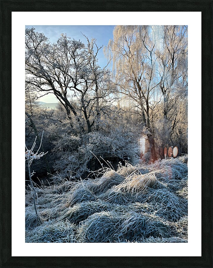 Winters Frosty Nature in the Scottish Highlands  Picture Frame print