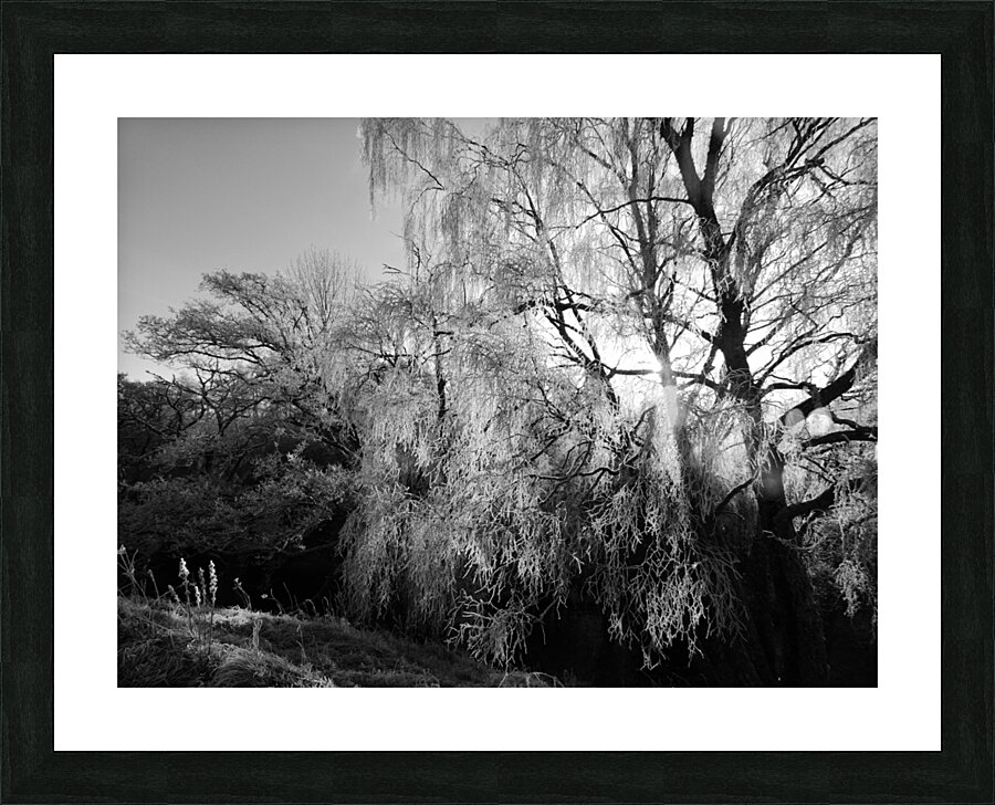  Black and White Winter Beauty in the Scottish Highlands Picture Frame print