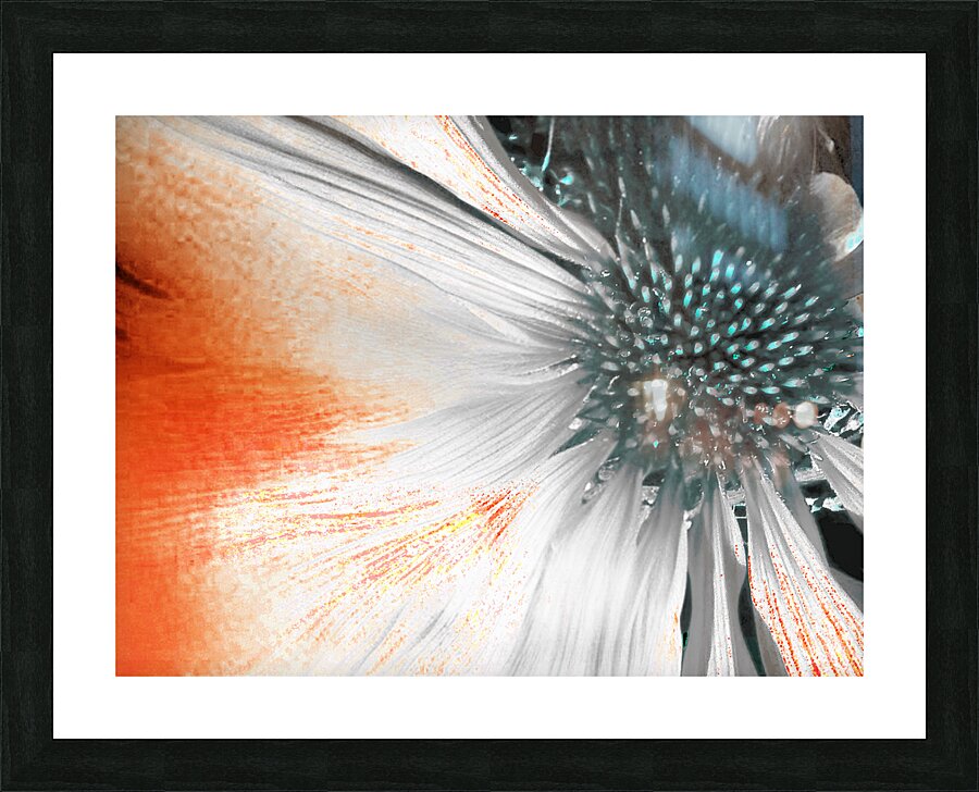 Abstract Cone Flower Picture Frame print