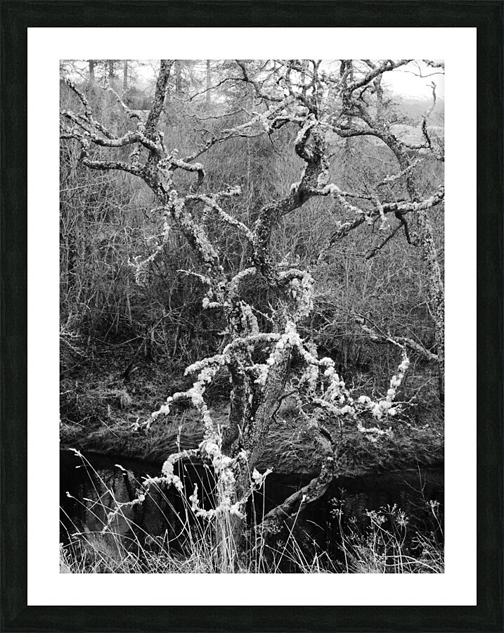 Black and White Winter in the Scottish Highlands Picture Frame print