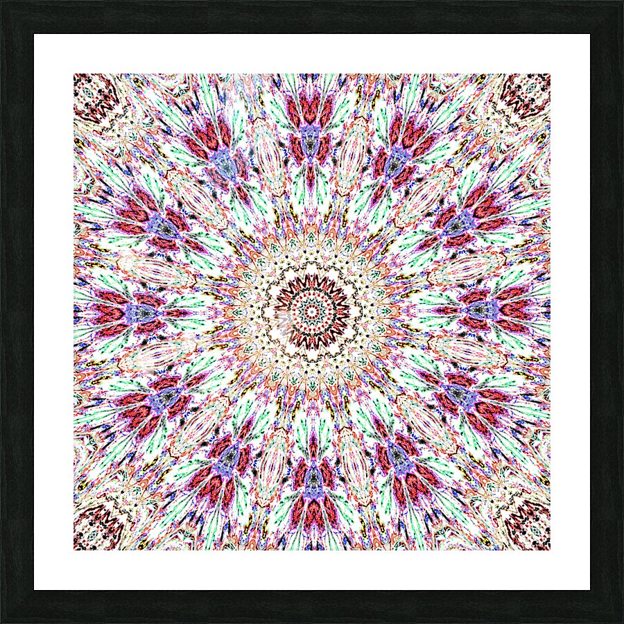 Abstract Kaleidoscope Mandala Pattern Red and Pink Picture Frame print