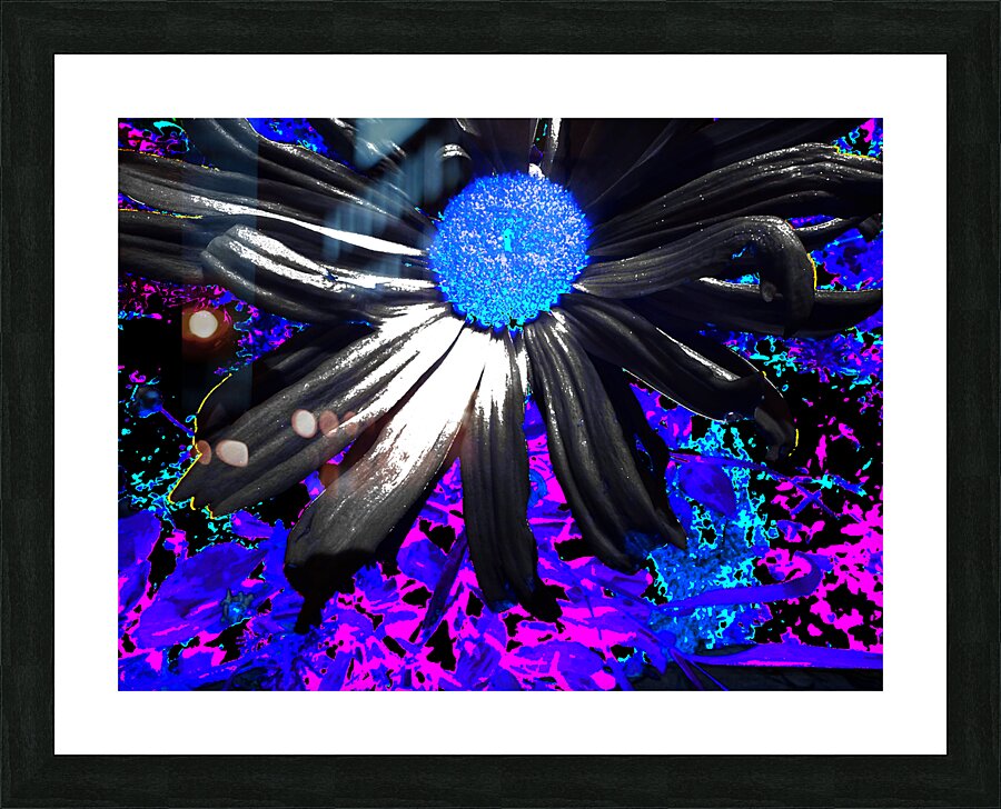 Abstract Vibrant Neon Daisy Flower Picture Frame print