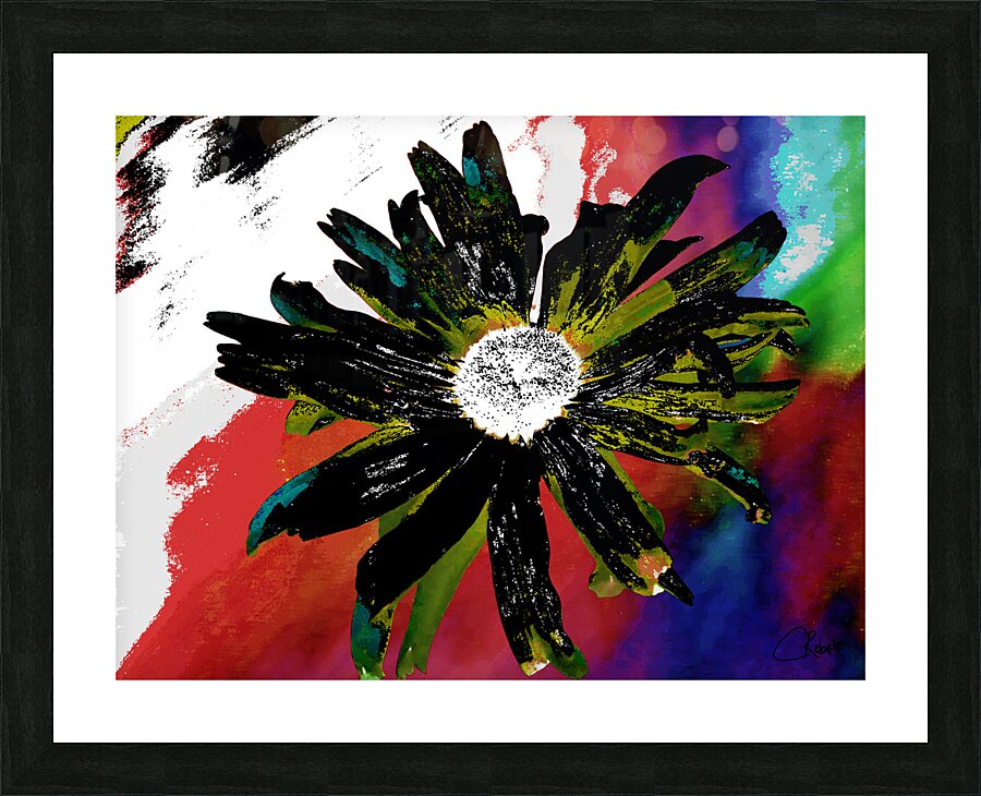 Abstract Black Daisy Picture Frame print