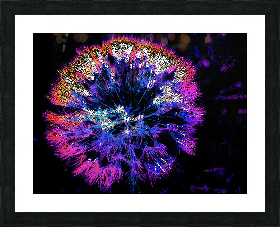 Abstract Neon Dandelion Head Picture Frame print