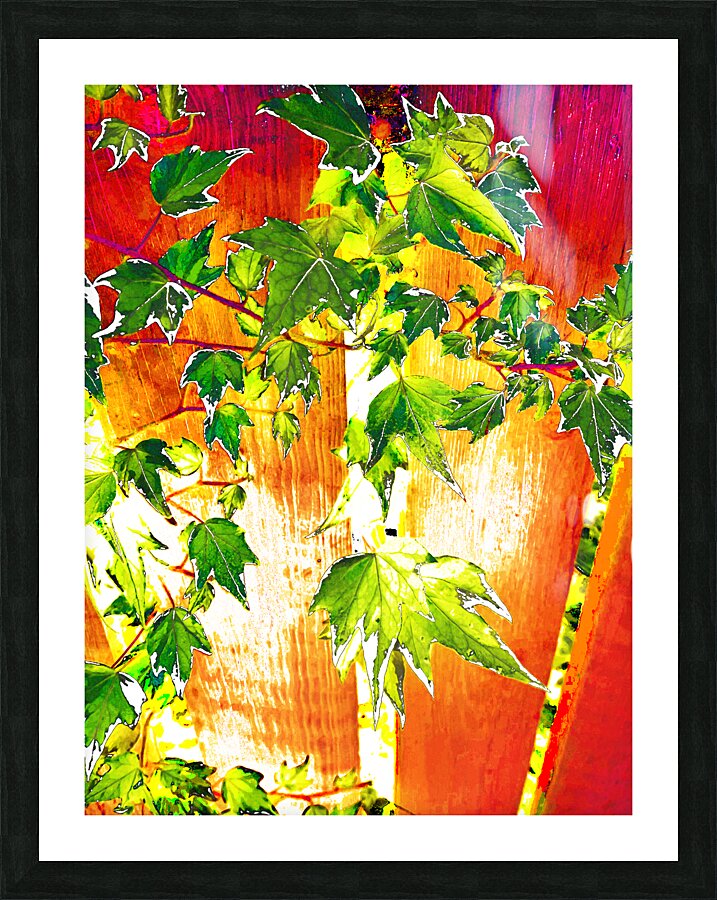Abstract Vibrant Ivy  Picture Frame print