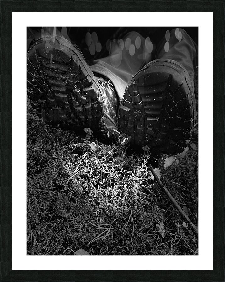 Scenes from the Trail- Resting  Picture Frame print