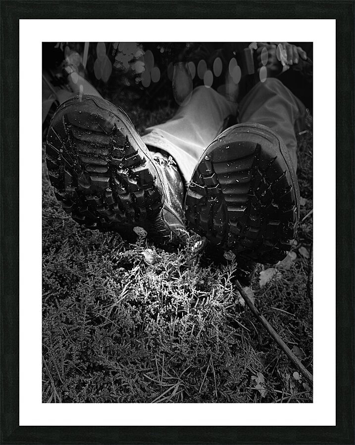 Scenes from the Trail- Resting Too Picture Frame print