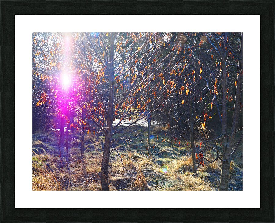 Scottish Highlands Visitation                                                                                                           Picture Frame print