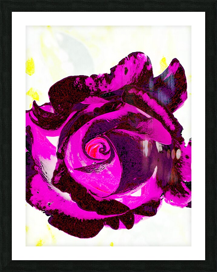 Abstract Pink and Purple Rose Picture Frame print