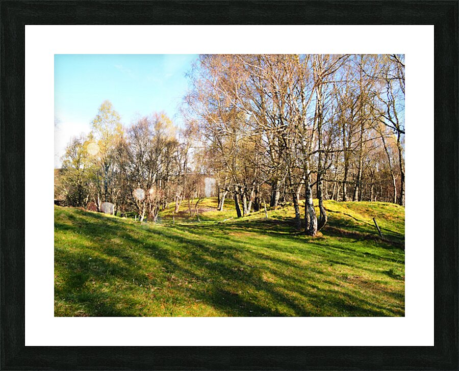 Spring Serenity in the Scottish Highlands                                                                                                                      Picture Frame print