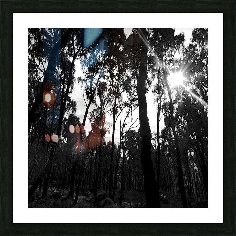 Impressionistic Dark Forest Picture Frame print