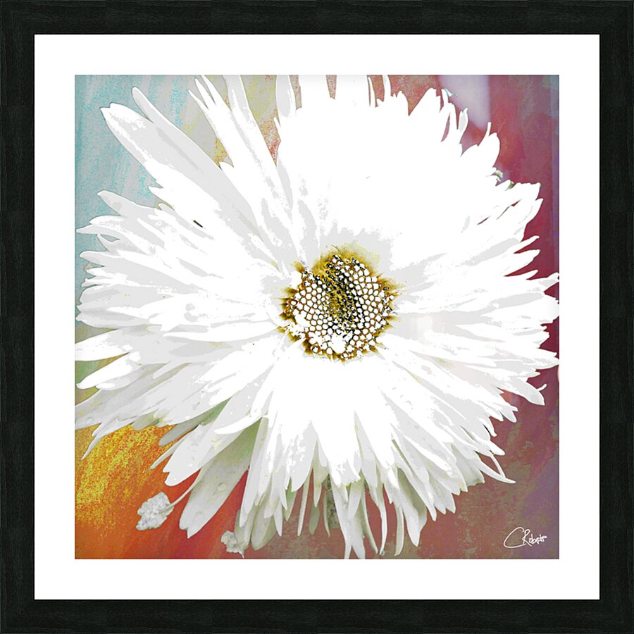 Abstract Daisy Close Up Picture Frame print