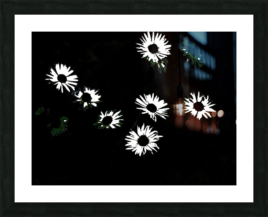  Monochrome Night Blooms                                                                                                                     Picture Frame print