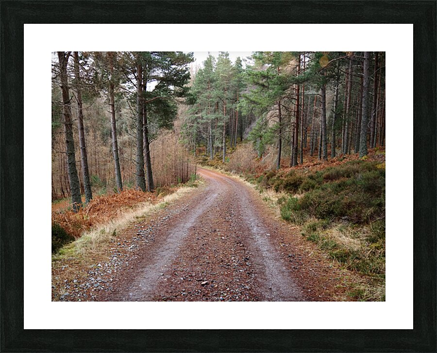 When the Snow Leaves                                                                                                                      Picture Frame print