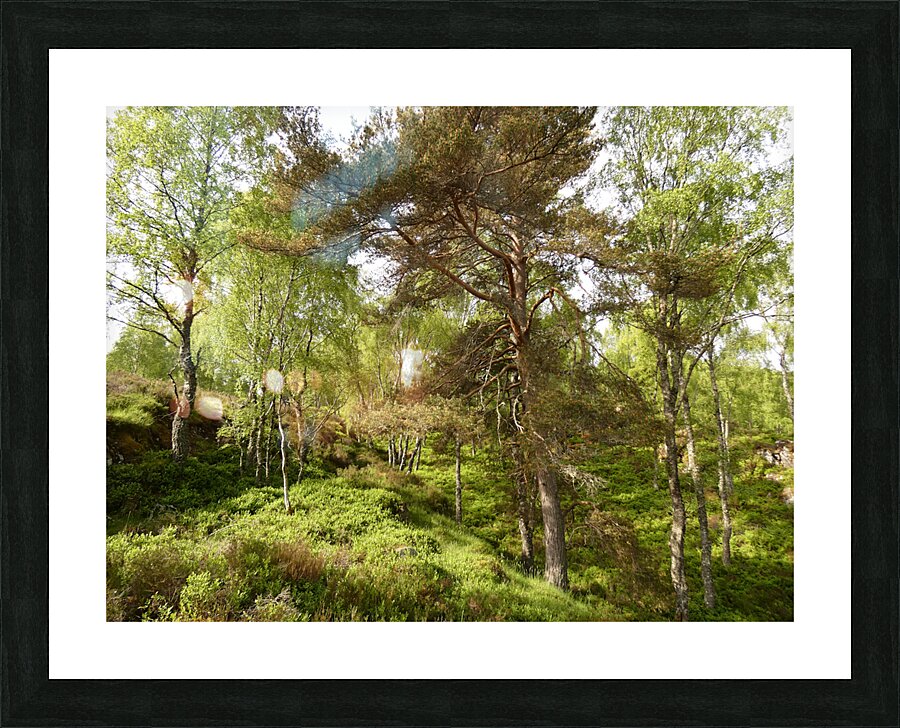 Fairy Tale Lands of the Scottish Highlands. Picture Frame print