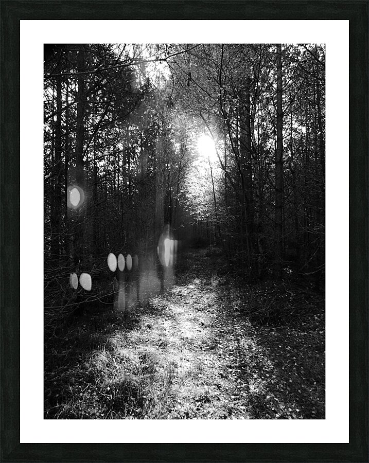  Autumns Suns Dark Kiss for the Scottish Highlands Picture Frame print