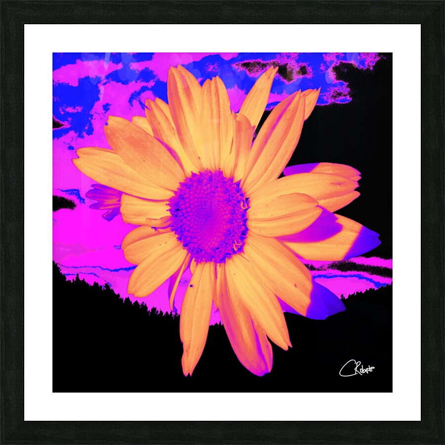 Daisy Dreaming Picture Frame print