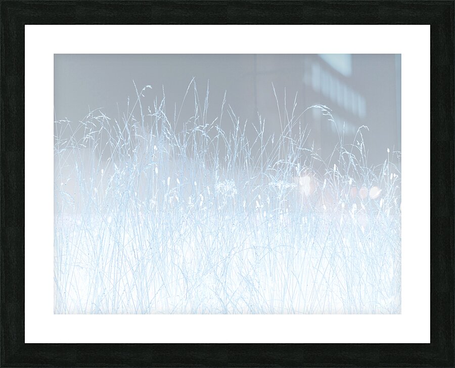  Abstract Linear Inverted Long Grass In the Mist Picture Frame print