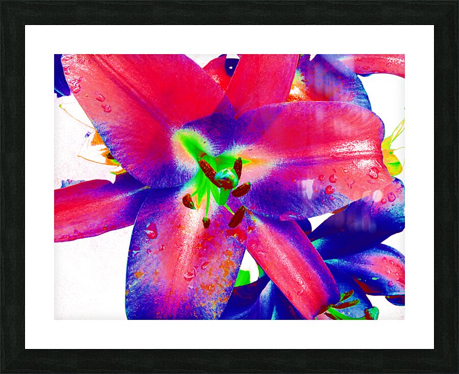 Vibrant Pop Art Lilies Picture Frame print