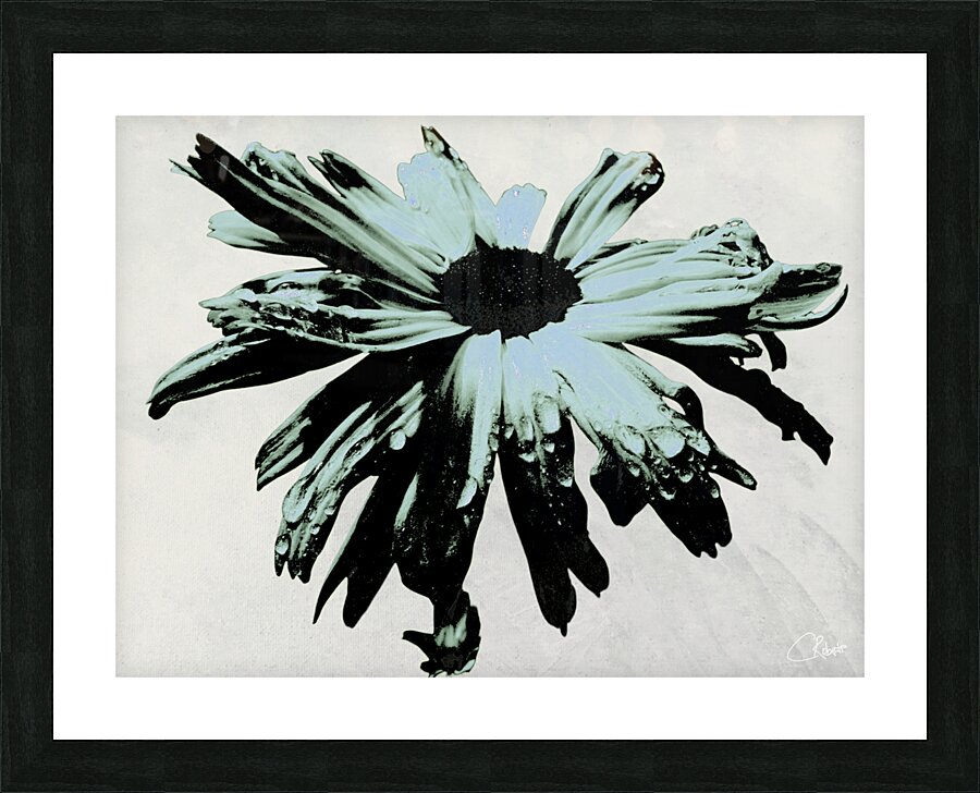 Dark Lime Daisy Flower on an Abstract Pale Background Picture Frame print
