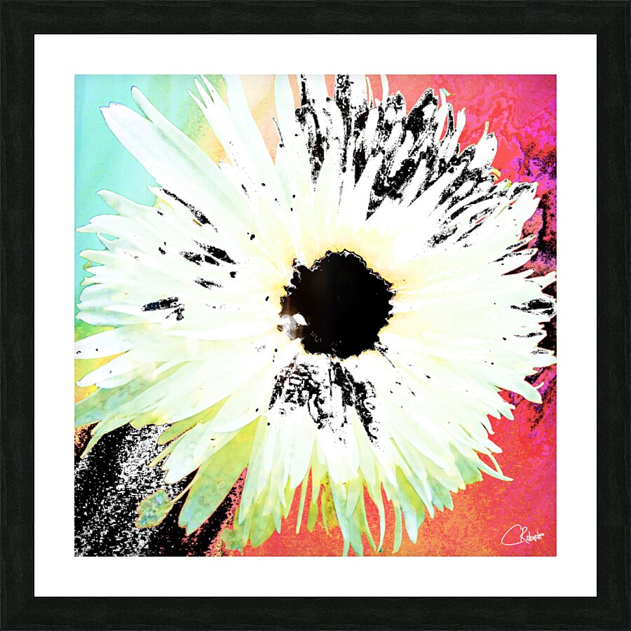 White Daisy Dark Centred on an Abstract Background Picture Frame print