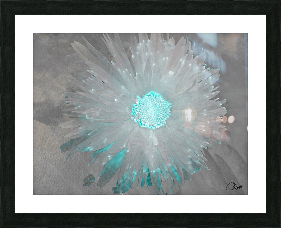 Turquoise Silver Daisy on Light Abstract Background Picture Frame print