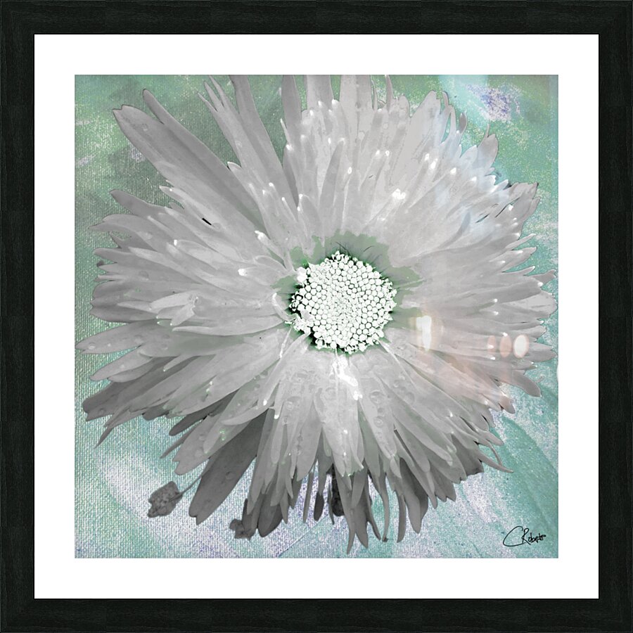 Paler Silver Turquoise Daisy on a Green Abstract Background Picture Frame print