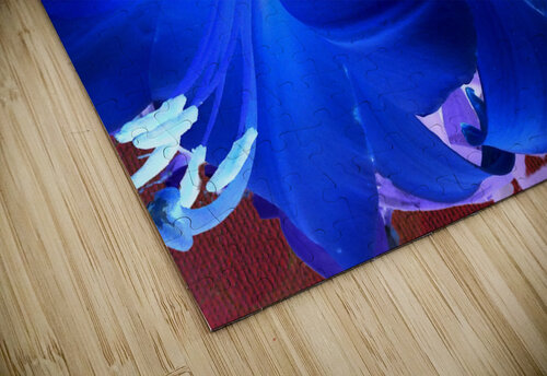  Abstract Colour Popping Lilies Catriona Roberts Nature Photography and Designs puzzle