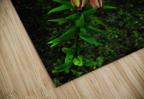 Vibrant Lilies  Catriona Roberts Nature Photography and Designs puzzle