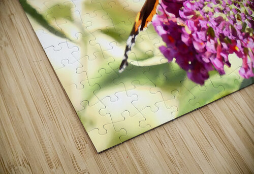 Two Butterflies on Buddleia Flowers Catriona Roberts Nature Photography and Designs puzzle