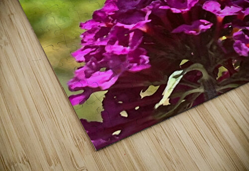 Summer Butterfly on a Butterfly Bush Catriona Roberts Nature Photography and Designs puzzle