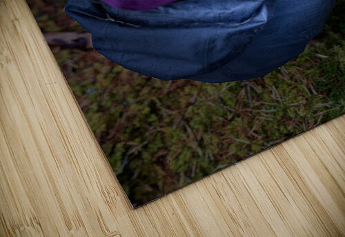 Scenes from the Trail- Mint Tea Catriona Roberts Nature Photography and Designs puzzle