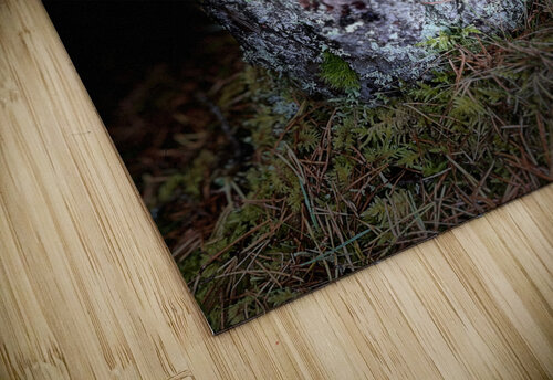 Scenes from the Trail- Mug Catriona Roberts Nature Photography and Designs puzzle