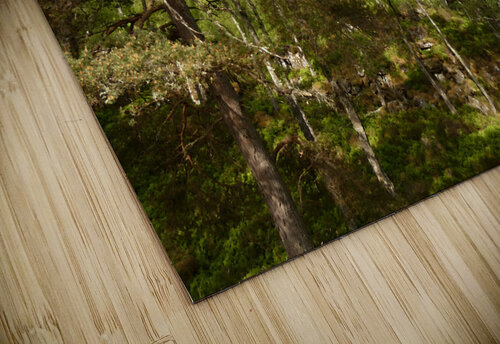 Impressionistic Scottish Highlands Forest   Catriona Roberts Nature Photography and Designs puzzle