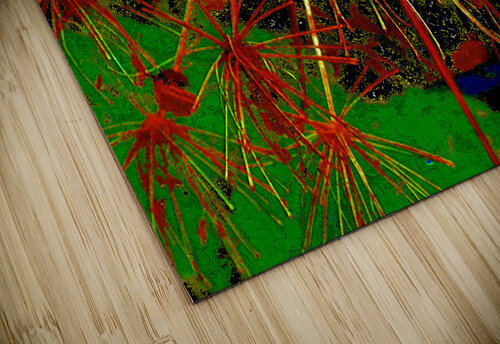 Abstract Angelica Catriona Roberts Nature Photography and Designs puzzle