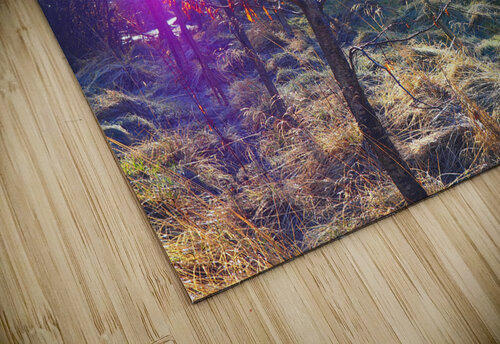 Scottish Highlands Visitation                                                                                                           Catriona Roberts Nature Photography and Designs puzzle