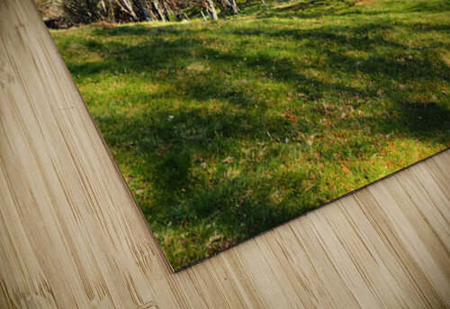 Spring Serenity in the Scottish Highlands                                                                                                                      Catriona Roberts Nature Photography and Designs puzzle