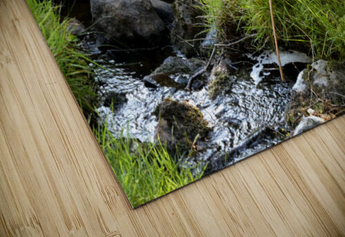 Scottish Highlands Summer Nature Walk Catriona Roberts Nature Photography and Designs puzzle